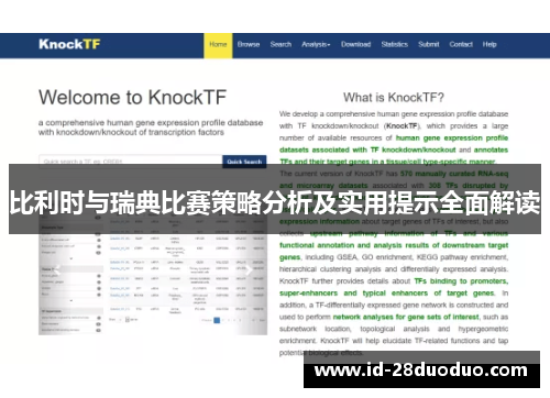比利时与瑞典比赛策略分析及实用提示全面解读