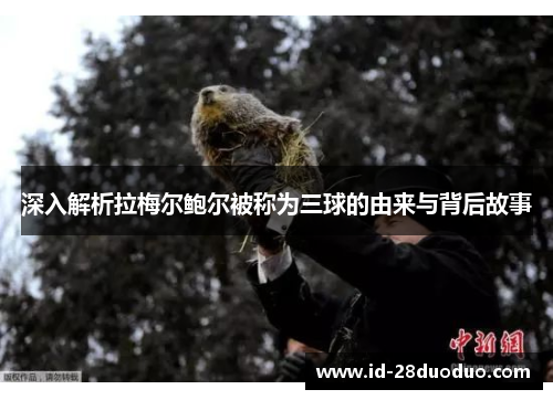 深入解析拉梅尔鲍尔被称为三球的由来与背后故事 深入解析拉梅尔鲍尔被称为三球的由来与背后故事